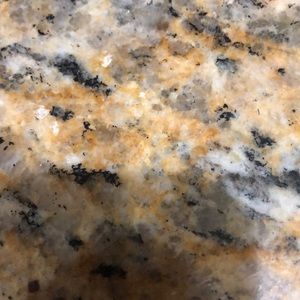 Meet your Posher, Evan